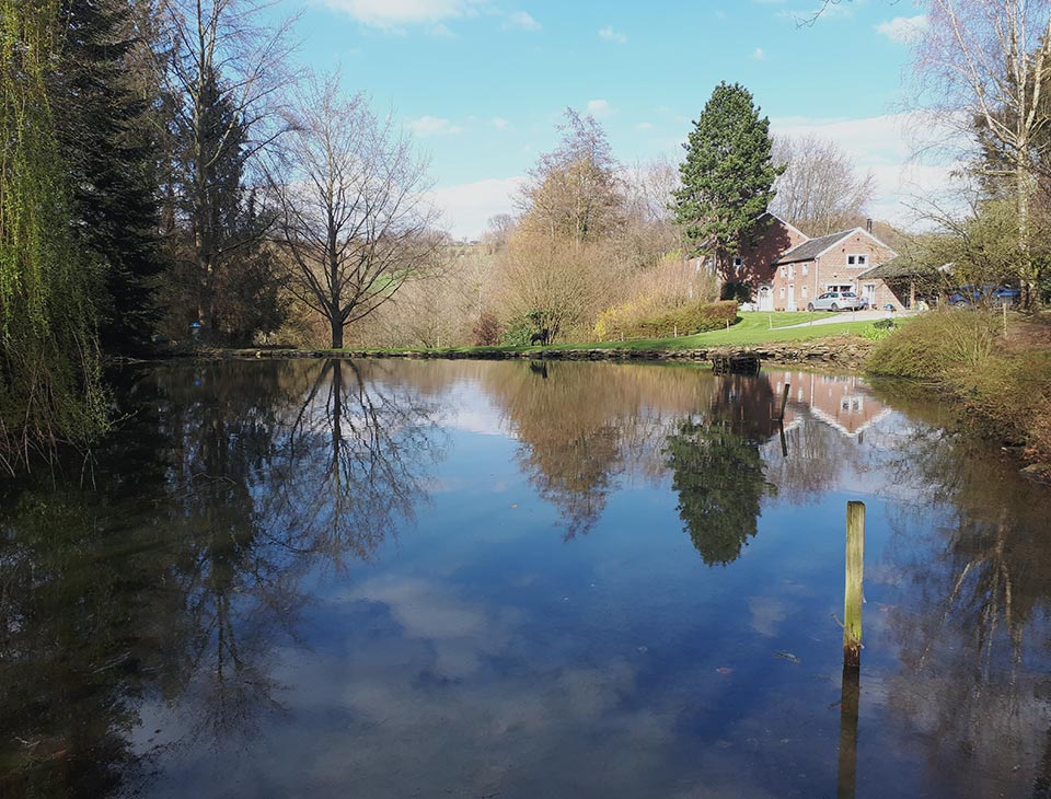 Etang - Nature