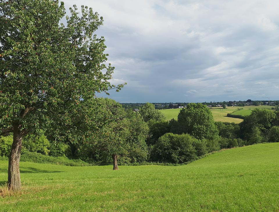 Pays de Herve